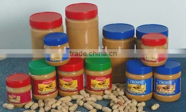 Peanut Butter Creamy & Crunchy in PET Bottle 510g