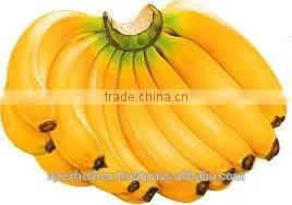 Banana Pulp Powder / Spray Dried Banana Powder / Powder of Banana photo-6