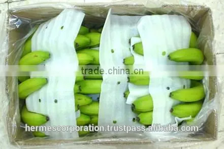 Fresh Cavendish Banana