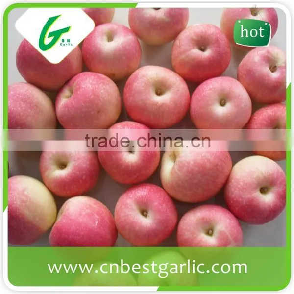 Chinese Grade A Fresh Royal Gala Apple photo-5