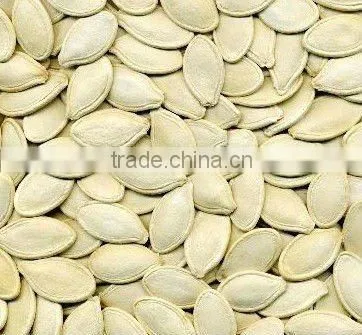 China White Pumpkin Seeds/kernels With High Quality