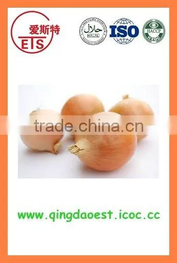 Export Best Quality Fresh Red Yellow White Onion photo-3