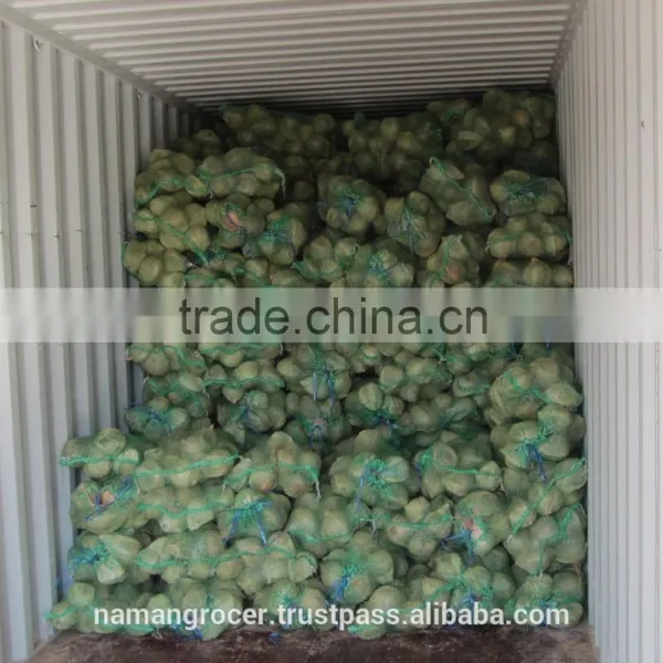 Semihusked Mature Coconut photo-6