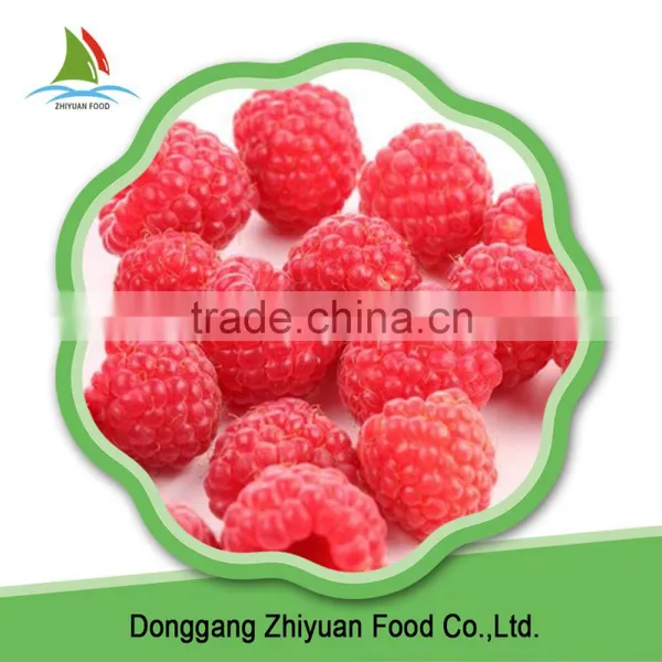 China 2016 New Crop IQF Frozen Red Raspberry for Export photo-2