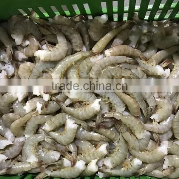 Hot Sale Seafoods Headless Vannamei Shrimp in Good Price photo-2