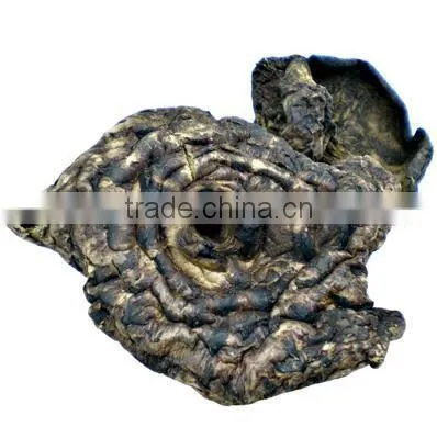 Dried Sarcodon Imbricatus Mushroom photo-2