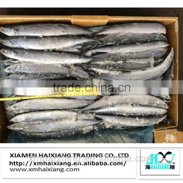 Frozen Whole IQF Tilapia Fish Farms in China photo-6