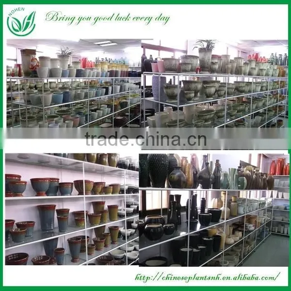 Cheap Flower Arrangements Pot photo-5