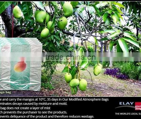 Dragon Fruit Bag photo-4