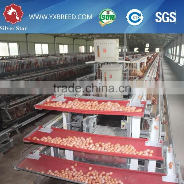 Poultry Battery Cages for Sale photo-2
