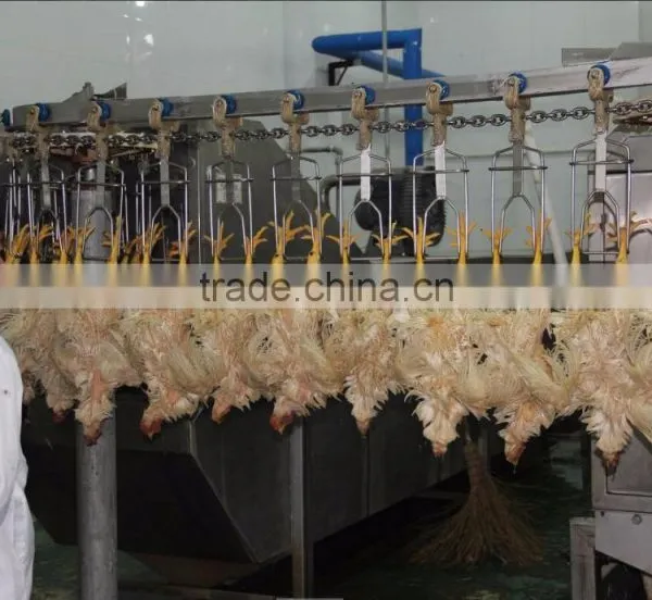 Hot Selling Portable Chicken Broiler Slaughter Line Dressing Line House 008618052092685 photo-3