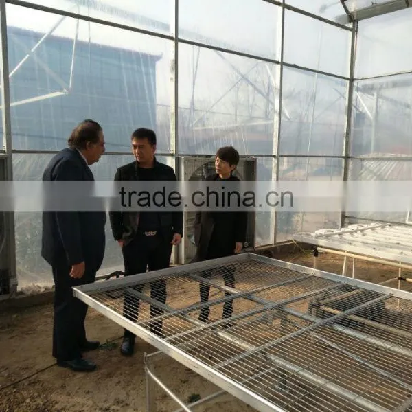 Low Cost Movable Greenhouse Bench Plastic for Agriculture photo-5