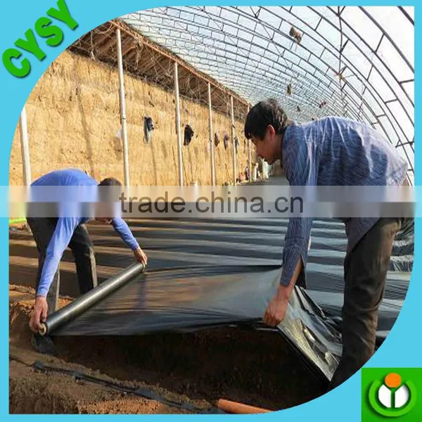 PP Woven Weed Killer Cloth Ground Cover for Garden photo-4