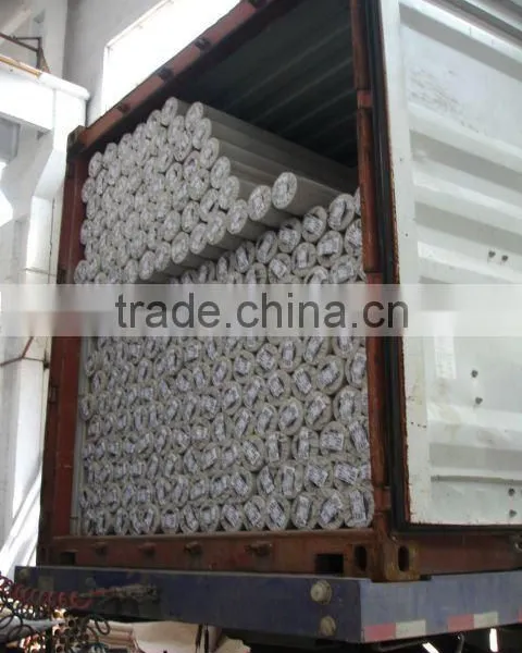 300g 3000*500 Cold Laminated Pvc Flex Banner photo-2