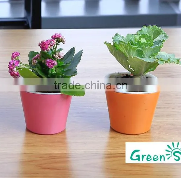 Cheap Succulent Planter Small Flower Pots photo-2