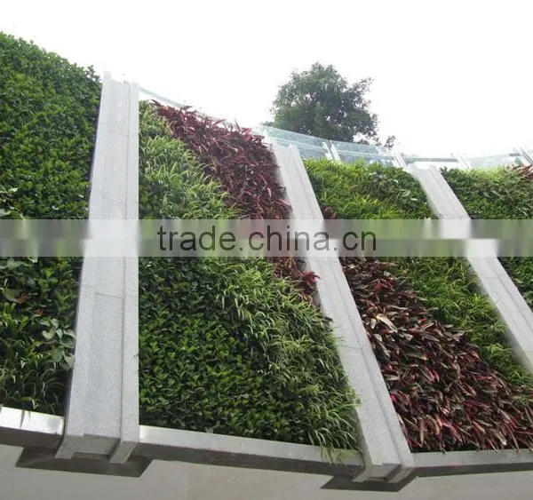 Hot Selling Artificial Plant Wall Artificial Green Wall Artificial Moss Grass Wall for Decoration photo-5