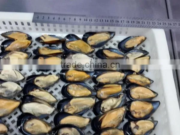 IQF Half Shell Blue Mussel