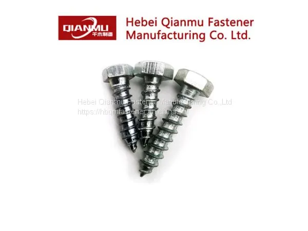 HEX HEAD LAG Wood Screw of Standard DIN571 Galvanized Wood Screw photo-3