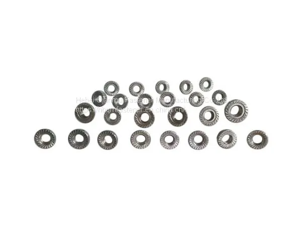 Flang Nut Flange Nut Supplier Flang Nut Sleeve Anchor Nut