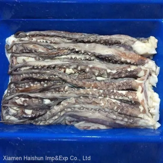 Frozen Giant Squid Tentacle
