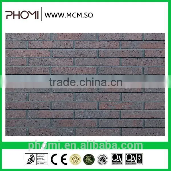Cost Effective Multifunction Flexible Light Weight Thin Suitable for High-rises 240*60 Eco Brick photo-6