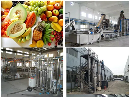 Industrial Cold Press Juicer/apple Juice Belt Press photo-5