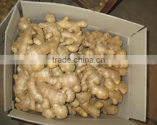 2016 Chinese Fresh Ginger Wet Dry Half Dry Skin Super Quality photo-2