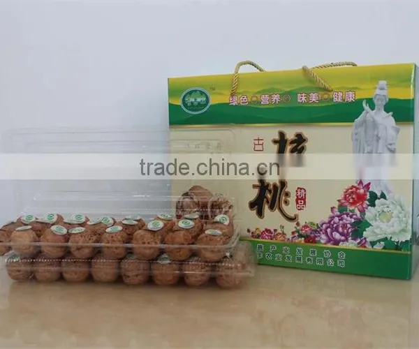 Natural Dried Walnut Nut Walnut, Blanched Walnut/walnut Halves / Unblanched Walnut, Grade a Nuts for Sale