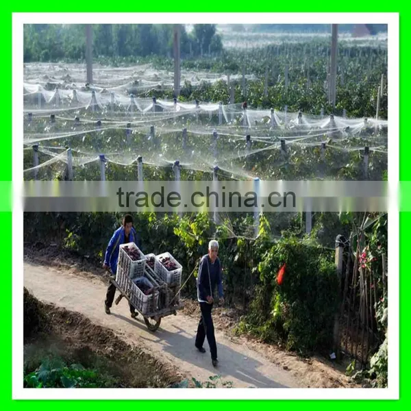 Best Quality and Cheap Price White Bird Mist Net for Catching Birds photo-2