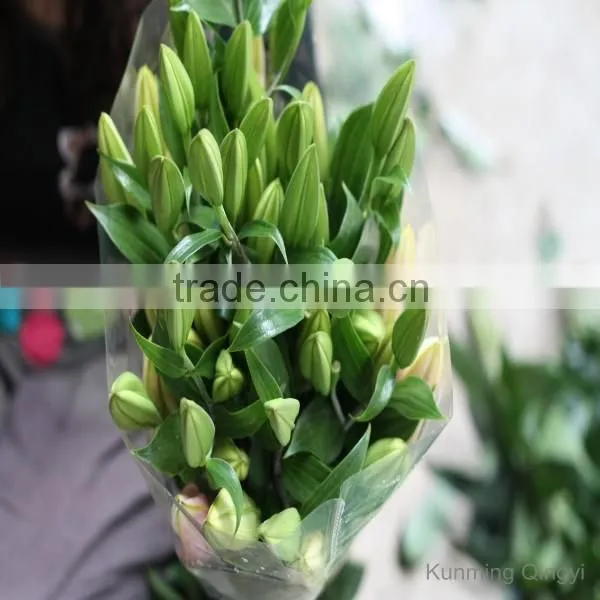 Fresh Cut Flowers Lily Flower photo-3