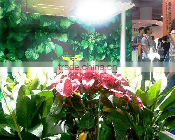 40w-300w Induction Grow Lamp photo-6