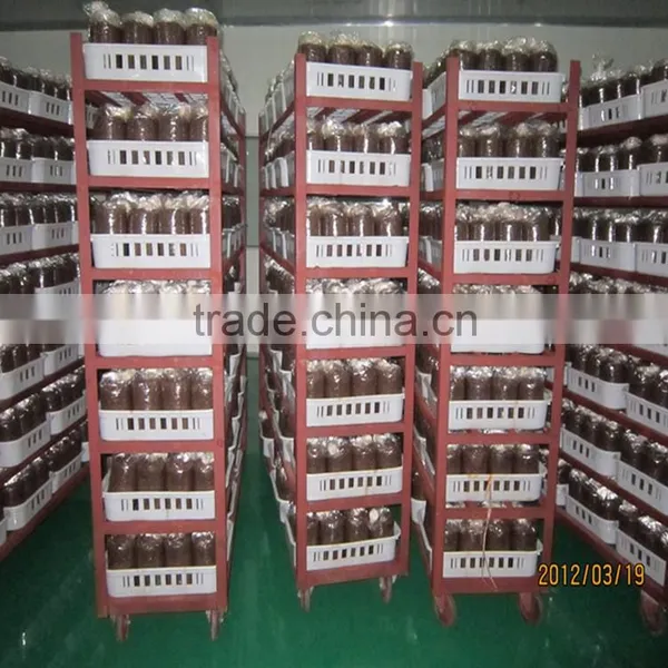 Frozen Milky Shiitake Mushrooms Spawn Cultivation photo-6