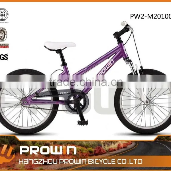20" Adult Bmx Bike(PW2-M20100)