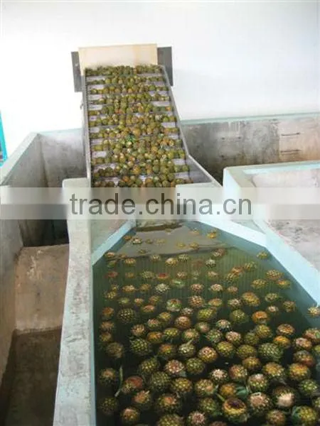 Mango Pineapple Processing Line photo-2