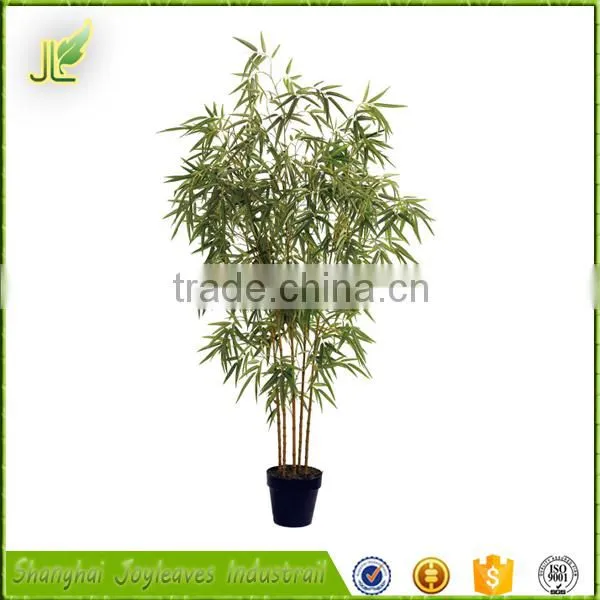 Combined Wholesale Factory Direct Low Price Bamboo Bonsai Tree photo-4