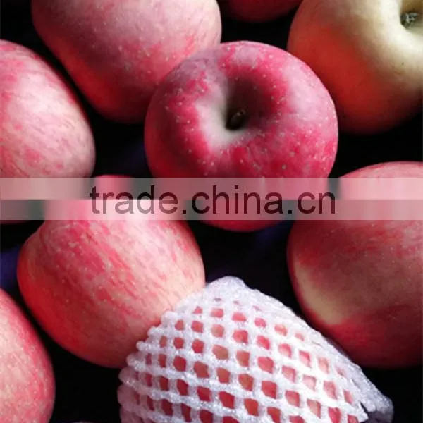Fuji Apples Fresh Fuji Apple