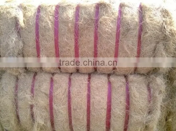 Coconut Fiber QQ: 2598494113 photo-2