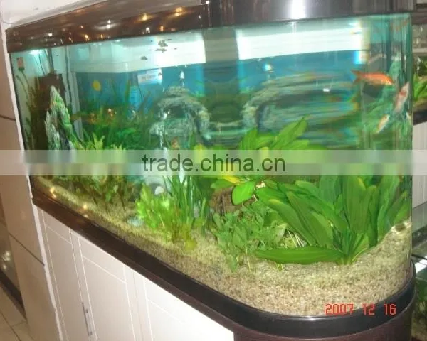 Acrylic Aquarium With Double Arc Shape photo-5