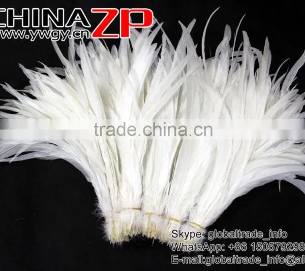 NO.1 Supplier ZPDECOR Best Selling Bleached White Fully Dyed Roosters Chicken Feathers photo-2