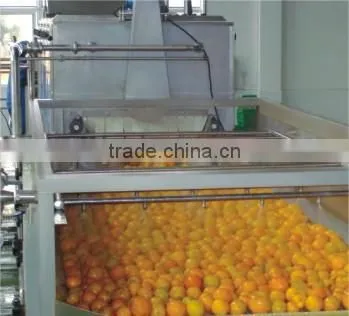 200 Tons per Day Automatic Orange Citrus Processing Line Fruit Juice Production Line photo-5