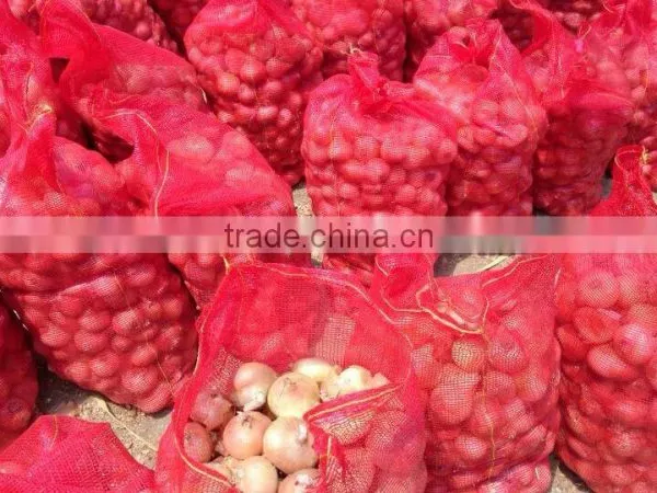 Farm Fresh Shallot Onion   With Great Price