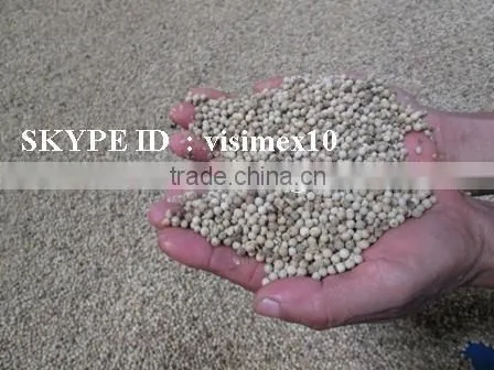 WHITE PEPPER 630 G/L FROM VIETNAM, HIGH QUALITY, BEST PRICE photo-2