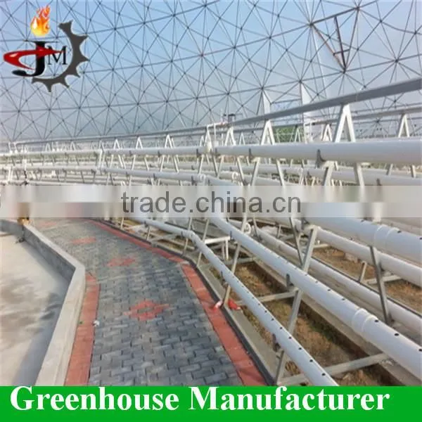 Desert and Semi-arid Greenhouse for Tomato Lettuce Strawberry photo-2
