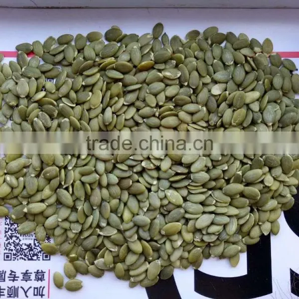 Hot Sale Grade AA Pumpkin Kernels From Inner Mongolia