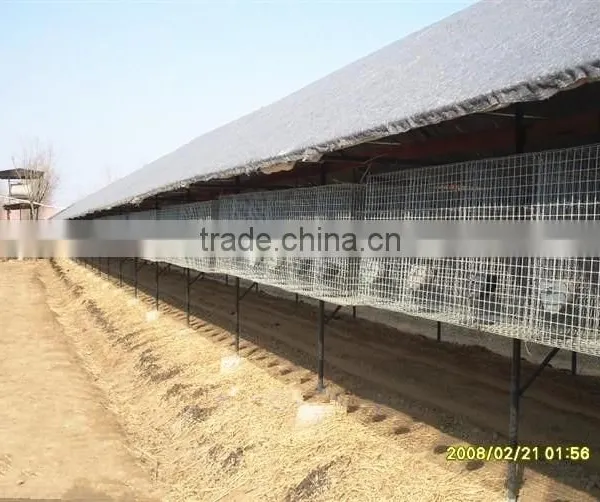 Galvanized Mink Wire Mesh Breeding Cage Low Price Mink Cage for Sale photo-6