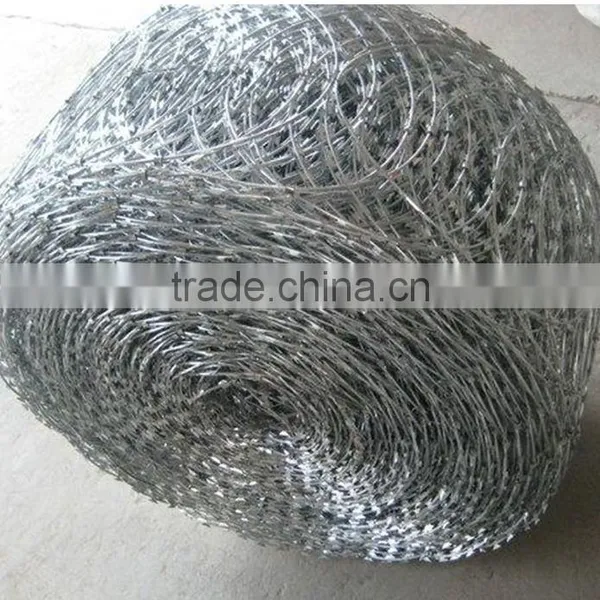 Razor Blade Wire (factory)