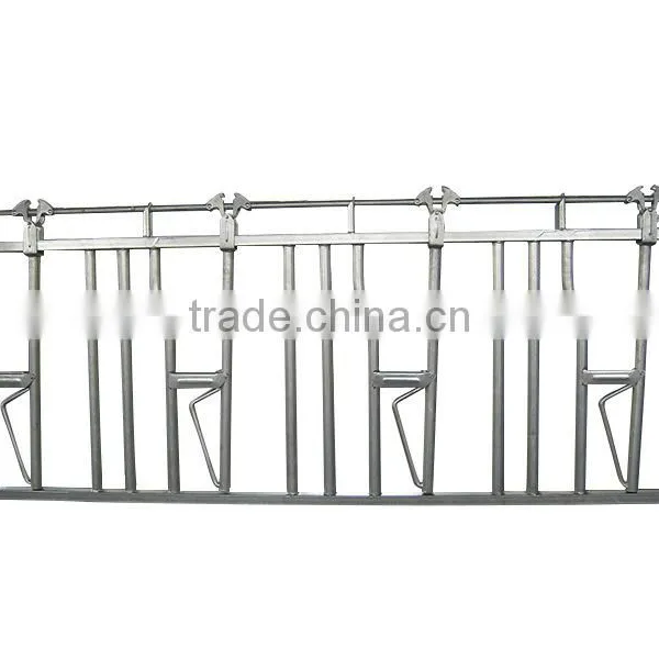 Hot Sale Livestock Equipment for Cattle