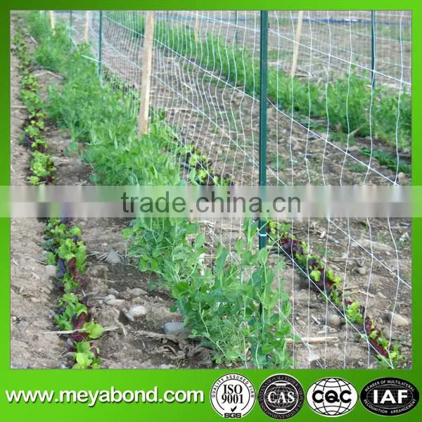 PE + UV Plant Support Net Pea & Bean Netting photo-4
