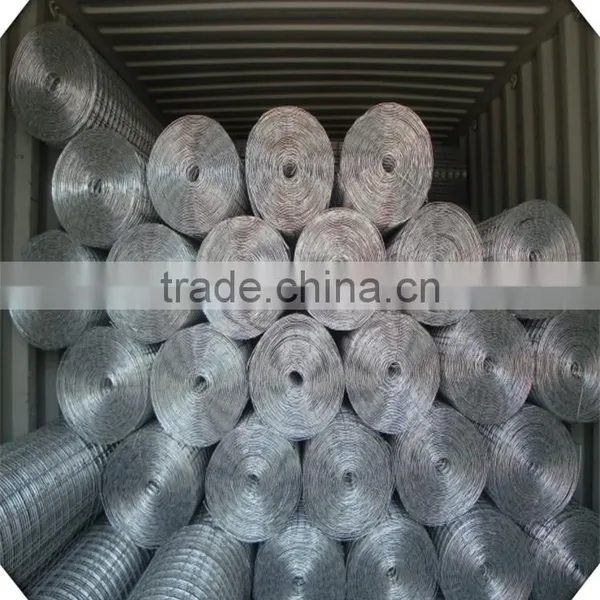 1/2 Inch Galvanized Welded Wire Mesh / Galvanized Welded Wire Mesh Price / Galvanized Welded Wire Mesh Weight photo-6