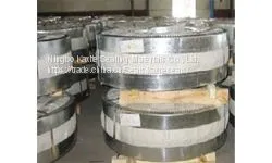 Metallic Strip